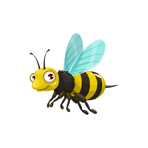 Cartoon bee vector icon, funny insect with striped body, cute face and big eyes. Kids club or apiary mascot, design element, wild flying creature isolated on white