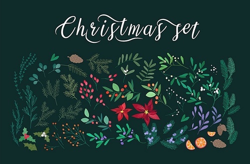 Merry Christmas and New Year greeting set with lettering, berries, poinsettia leaves, branches and cones of trees, hand drawn on black background. Floral vector illustration