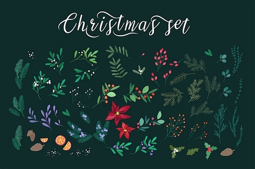 Merry Christmas and New Year greeting set with lettering, berries, poinsettia leaves, branches and cones of trees, hand drawn on black background. Floral vector illustration