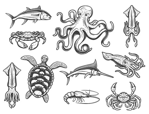 Sea fishes and ocean animals, underwater marine world creatures, vector icons. Octopus, swordfish or marlin and tuna, lobster crab and crayfish, squid and turtle, cuttlefish and shrimp