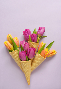 Concept with tulips in wafer ice cream cone