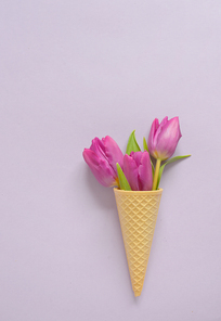 Concept with tulips in wafer ice cream cone