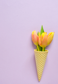 Concept with tulips in wafer ice cream cone