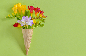 Freesias flowers in ice cream waffles