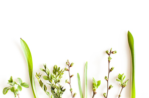 Spring greenery plants over white background. Flat lay forest and nature concept