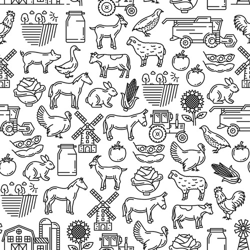 Agriculture and cattle farm seamless pattern. Vector thin line art background of farmer tractor, cattle animals cow, horse or sheep and poultry hen or turkey, vegetables harvest and mill pattern