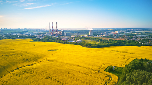 Panoramic aerial view of Belarus power plant with golden flowering field of rapeseed, canola or colza - two possibility for production of electric energy. Nuclear and traditional energy producing