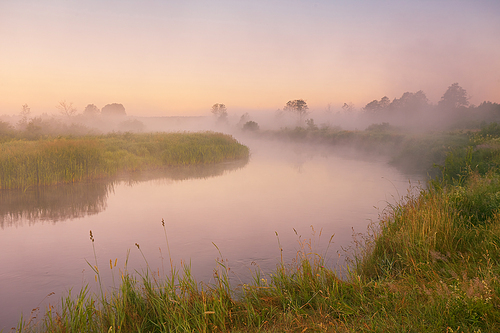 Beautiful summer sunrise rural landscape. Morning fog on river. Trees misty reflection in water. River Neman, Belarus