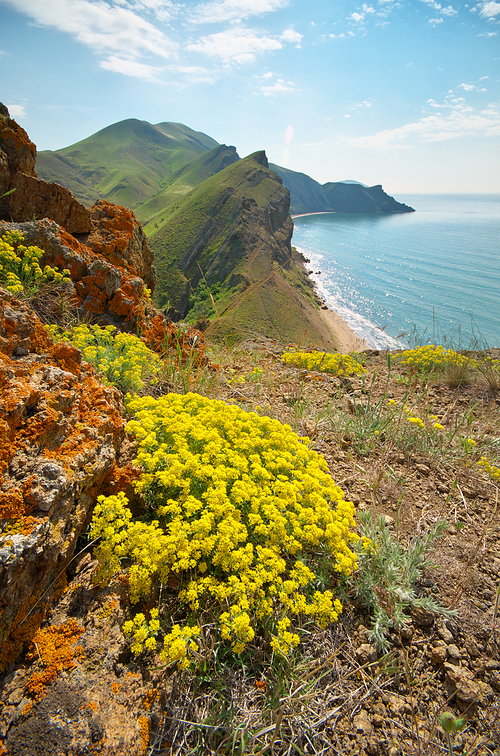 Sea and mountains spring bay. Yellow flowers on the slope. Nature landscape composition.