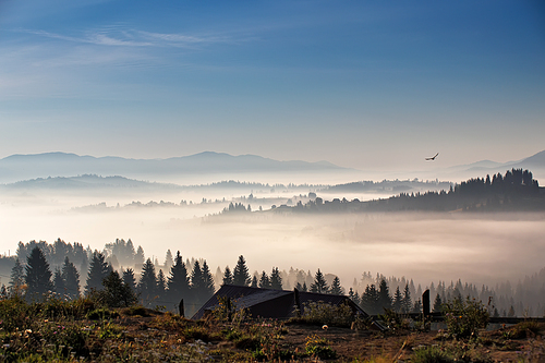 Bird flying over hills and village. Foggy morning in Carpathian mountains