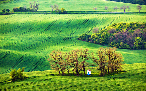 Green spring hills. Rolling spring fields. Chapel in arable lands of Czech Moravia.