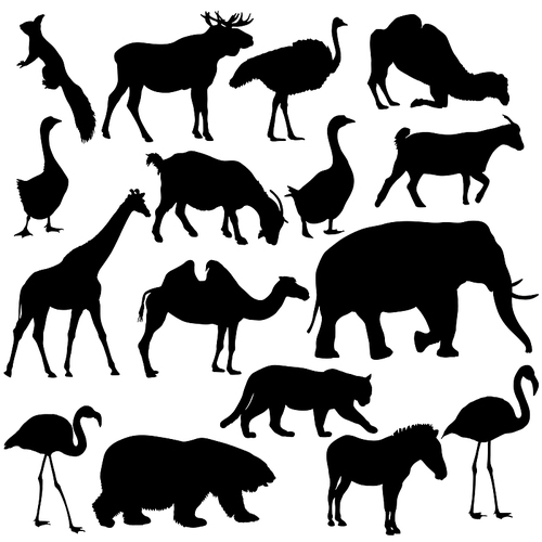 Silhouette elk, bear, goose, zebra, flamingo, elephant on a white background.