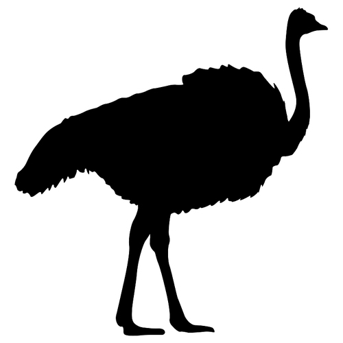 Silhouette of a big ostrich standing on a white background.
