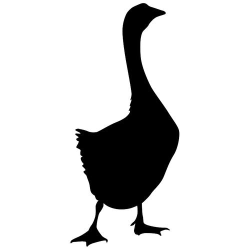 Silhouette of a grey goose on a white background.