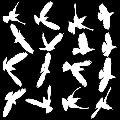 ConcepConcept of love or peace. Set silhouettes doves. t of love or peace. Set silhouettes doves.