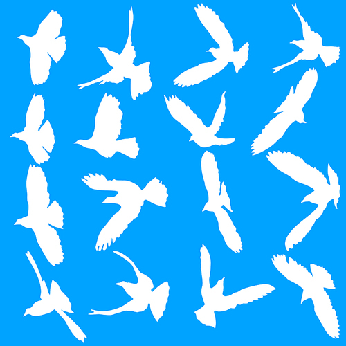 ConcepConcept of love or peace. Set silhouettes doves. t of love or peace. Set silhouettes doves.