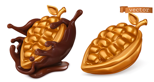 Golden cocoa fruit and chocolate splash. 3d realistic vector icon