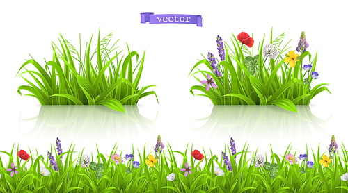 Wild flowers, forb alpine pastures. Spring grass seamless pattern 3d realistic vector
