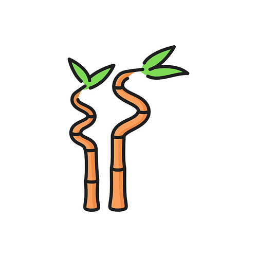 Bamboo stems and leaves isolated flat line icon. Vector decorative bamboo branches, asian tropical reeds, traditional cosmetics sources. Natural Japan China plant, rainforest ingredient, green leaves