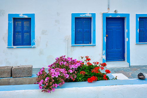 Traditional greek white whitewashed house with blue door and window blinds with flowers in Oia village on Santorini island in Greece