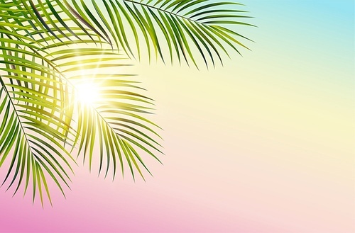 Vector green leaf of palm tree on spectrum sky background and sun rays