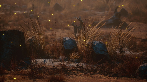 Fireflies above dry grass and stones at sunset