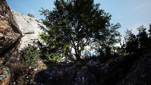 big tree with rock formations on the mountainside