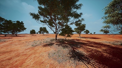 dry african savannah with trees