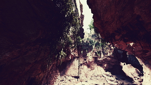 large fairy rocky cave with green plants