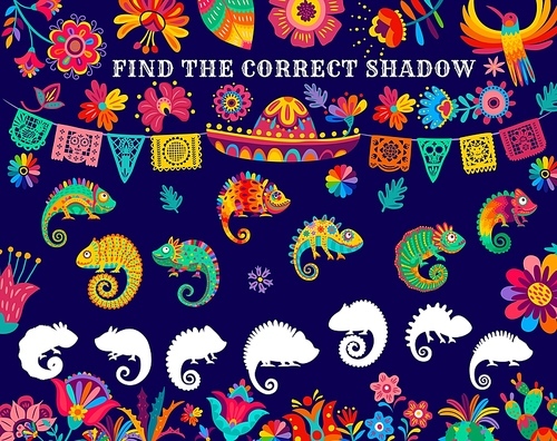 Find correct chameleon lizard shadow kids riddle game. Children educational puzzle game, child logical quiz or kids playing activity, riddle page with mexican sombrero hat, picado garland and flowers