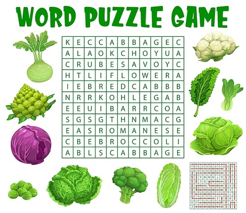 Raw cabbage vegetables, word search puzzle game worksheet, vector kids quiz grid. Riddle to search word in grid with cabbages broccoli, cauliflower and kohlrabi, bok choy and Chinese cabbage