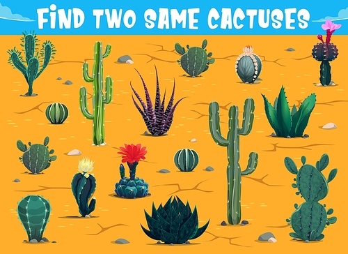 Find two same cactuses in mexican desert. Kids game worksheet, children logical riddle or educational puzzle with searching and matching task. Child quiz vector page or playing activity with cacti