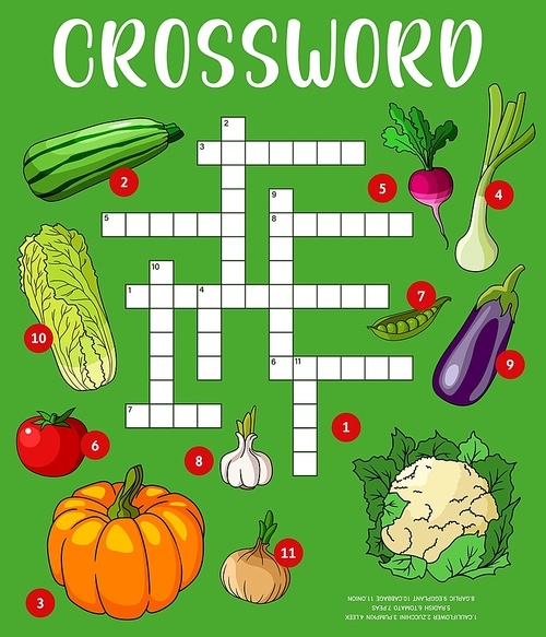 Farm vegetables crossword puzzle worksheet. Find a word quiz game grid. Kids text riddle or vector puzzle with zucchini, radish and onion, pea, eggplant and cauliflower, garlic, pumpkin and tomato