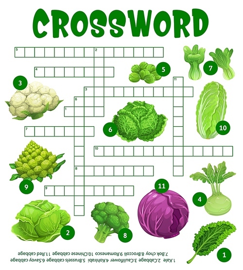 Raw cabbage vegetables on crossword puzzle worksheet, find word quiz game, vector grid. Kids education riddle crossword to guess kohlrabi, cauliflower and broccoli cabbages with kohlrabi and kale