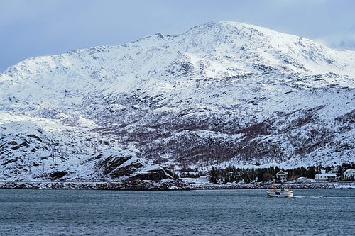 Fishing ship boat in Norwegian fjord. Lofoten islands, Norway