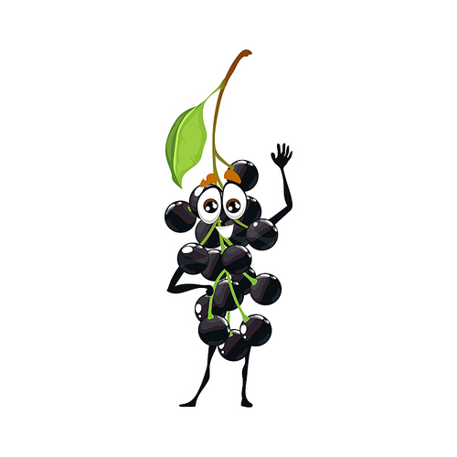 Funny cute bird cherry berry waving his hand cartoon character. Comic fruit or sweet black berry vector personage with happy smiling face. Ripe bird cherry isolated funny character
