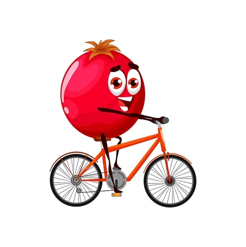 Cartoon lingonberry on bicycle, vector funny cowberry sportsman bicyclist character doing sport exercises. Isolated foxberry, healthy food, fruit or garden plant sports lifestyle, red bilberry vitamin