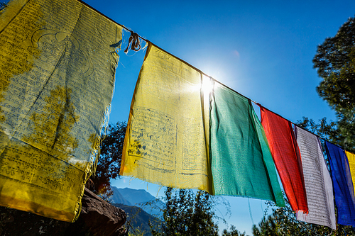 Prayer flags of Tibetan Buddhism with Buddhist mantra on it in Dharamshala monastery temple. There is the residence of Tibetan Buddhism spiritual leader Dalai Lama. Dharamsala, Himachal Pradesh, India