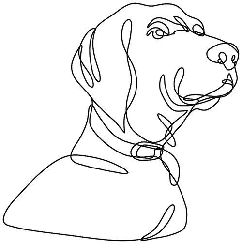 Continuous line drawing illustration of a Labrador retriever dog head looking up  done in mono line or doodle style in black and white on isolated background.