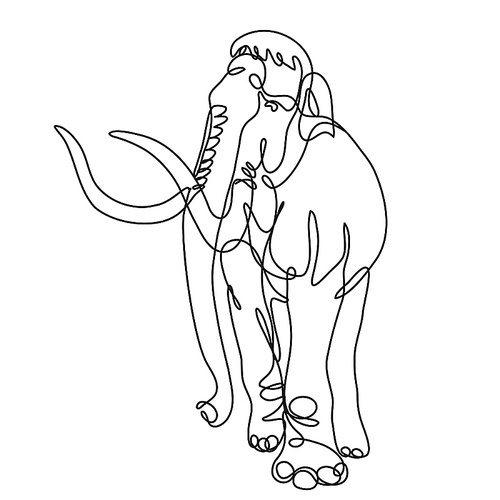 Continuous line drawing illustration of an Mammoth elephant walking front view  done in mono line or doodle style in black and white on isolated background.
