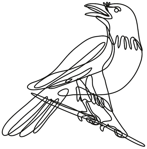 Continuous line drawing illustration of a common raven perching on branch done in mono line or doodle style in black and white on isolated background.