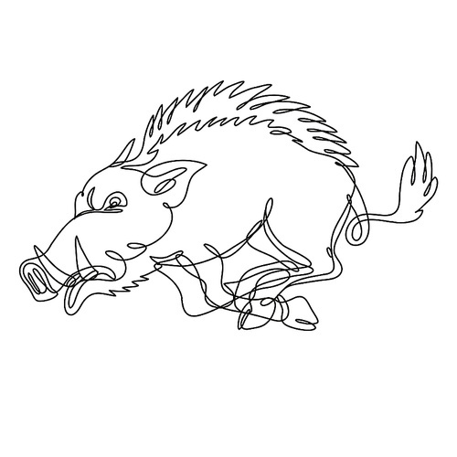 Continuous line drawing illustration of a razorback wild boar running attacking side view  done in mono line or doodle style in black and white on isolated background.