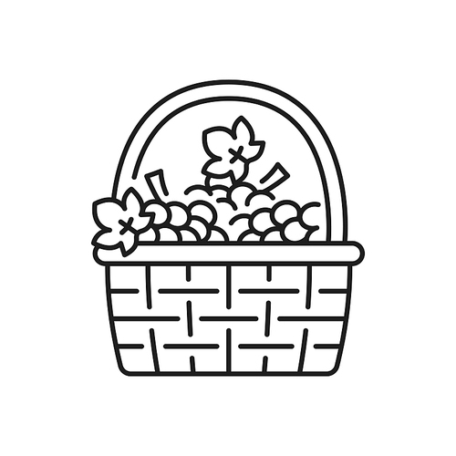 Basket of grape isolated thin line icon. Vector vintage basket with spring or summer flowers and fruits, symbol of Portugal, outline sign.