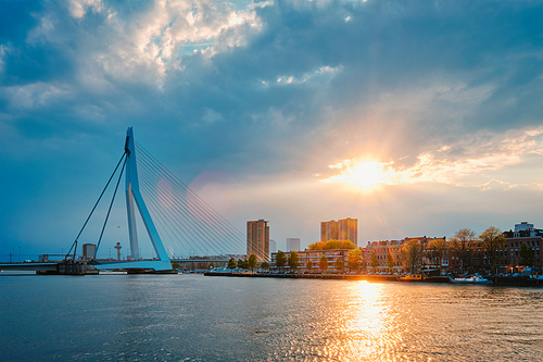 Rotterdam skyline cityscape with Erasmusbrug bridge over Nieuwe Maas in contre-jur on sunset. Rotterdam, the Netherlands