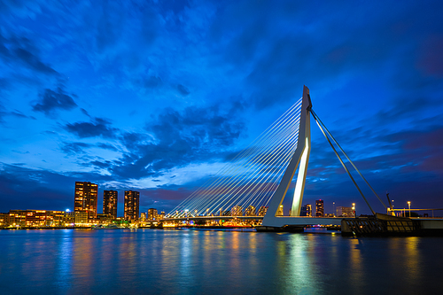 View of Erasmus Bridge (Erasmusbrug) and Rotterdam skyline cityscape illuminated at night. Rotterdam, Netherlands