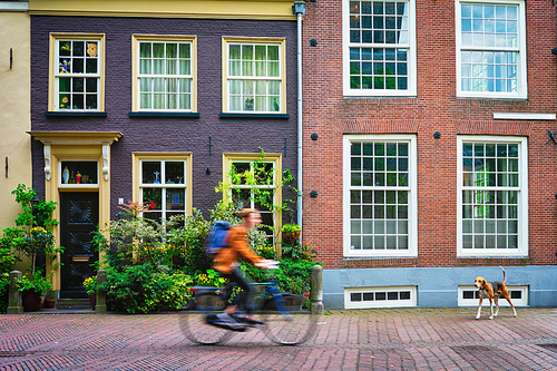 Motion blurred bicycle rider cyclist man on bicycle very popular means of transport in Netherlands in street with old houses of Delft, Netherlands