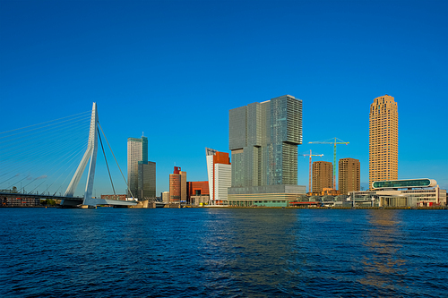 Panorama of Rotterdam skyscrapers skyline and Erasmusbrug bridge view over of Nieuwe Maas river. Rotterdam, the Netherlands