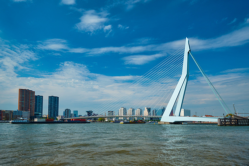 View of Rotterdam skyline over Nieuwe Maas with Erasmusbrug bridge and skyscrapers with cargo ships coming under the bridge. Rottherdam, the Netherlands
