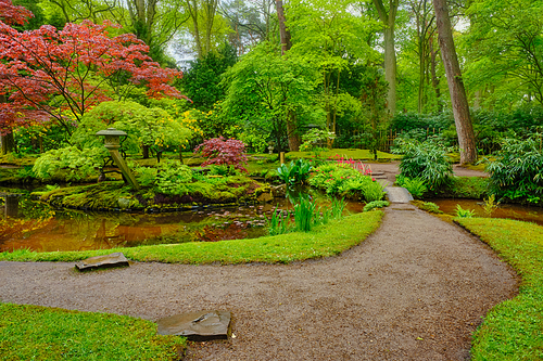 Little Japanese garden after rain, Park Clingendael, The Hague, Netherlands
