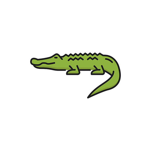 Thailand alligator isolated wild crocodile color line icon. Vector Thai green crocodile, scary carnivore crocodylus reptile. Mississippiensis predator animal, symbol of Thailand, dangerous creature